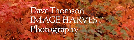 Image Harvest