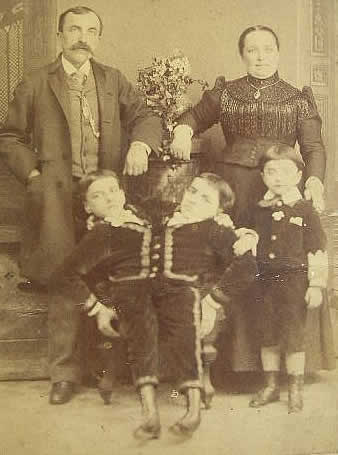 tocci family