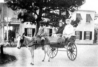 Clemens in donkey cart