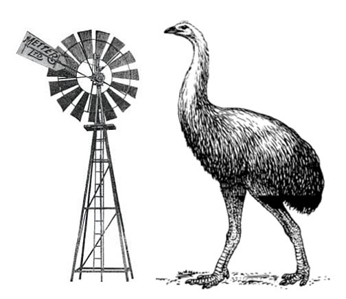 giant moa