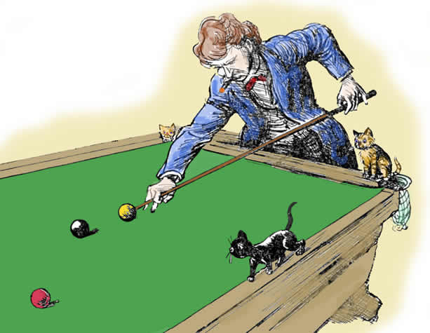 Pool cats